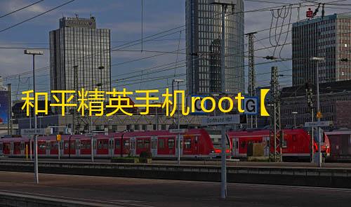 和平精英手机root【九世】科技